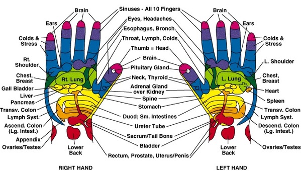 REFLEXOLOGY-CHART